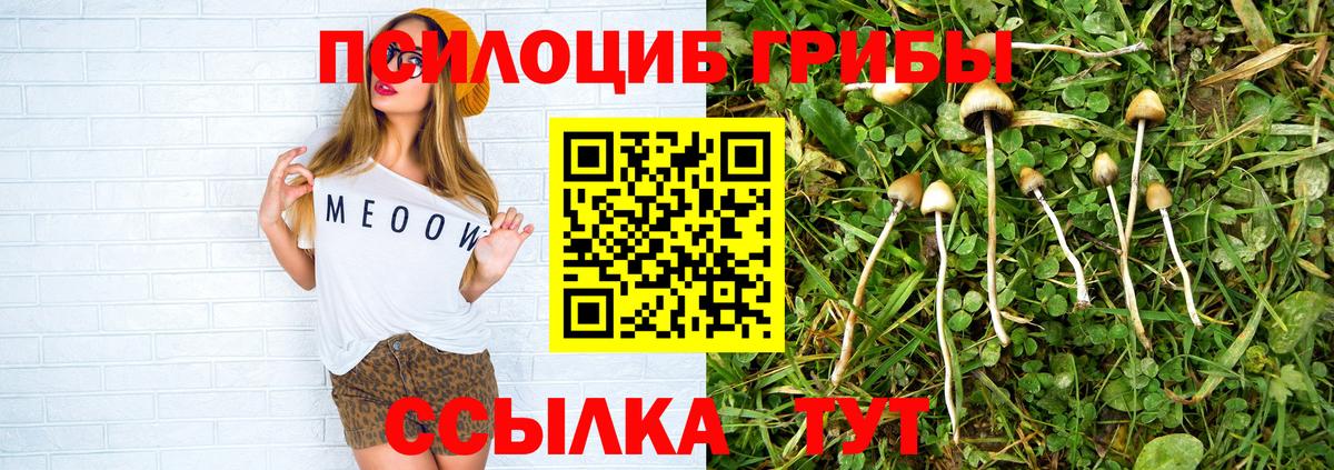 Кудымкар  Галлюциногенные грибы Cubensis  Псилоцибиновые грибы прущие грибы  Вход с VPN 